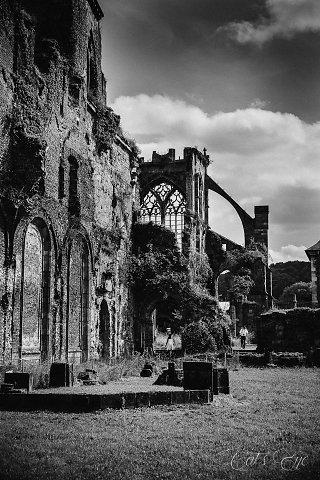 Auberge De L'Abbaye Thuin Esterno foto